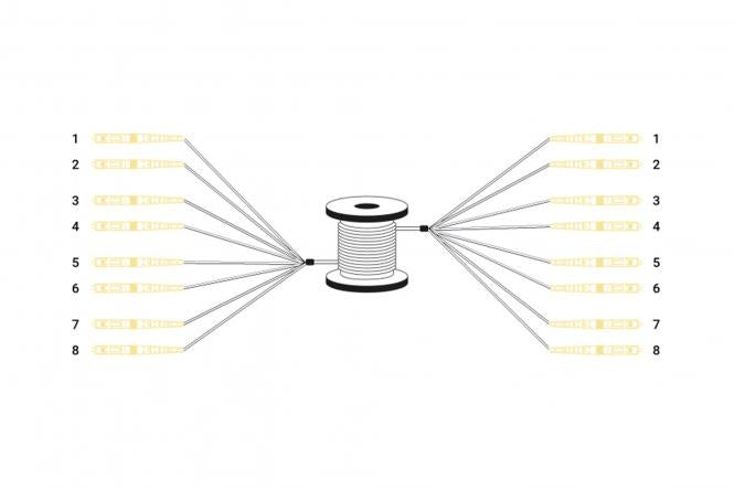 Reeds geassembleerde, 30 M universele breakout glasvezelkabel, singlemode OS2, 8 vezels, LC/UPC - LC/UPC