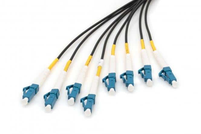 Reeds geassembleerde, 50 M universele breakout glasvezelkabel, singlemode OS2, 8 vezels, LC/UPC - LC/UPC