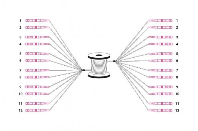 Reeds geassembleerde, 100 M universele breakout glasvezelkabel, multimode OM4, 12 vezels, LC/UPC - LC/UPC